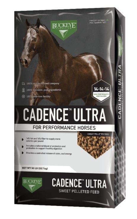 Buckeye Cadence Ultra - Rider's Tack.Apparel.Supply