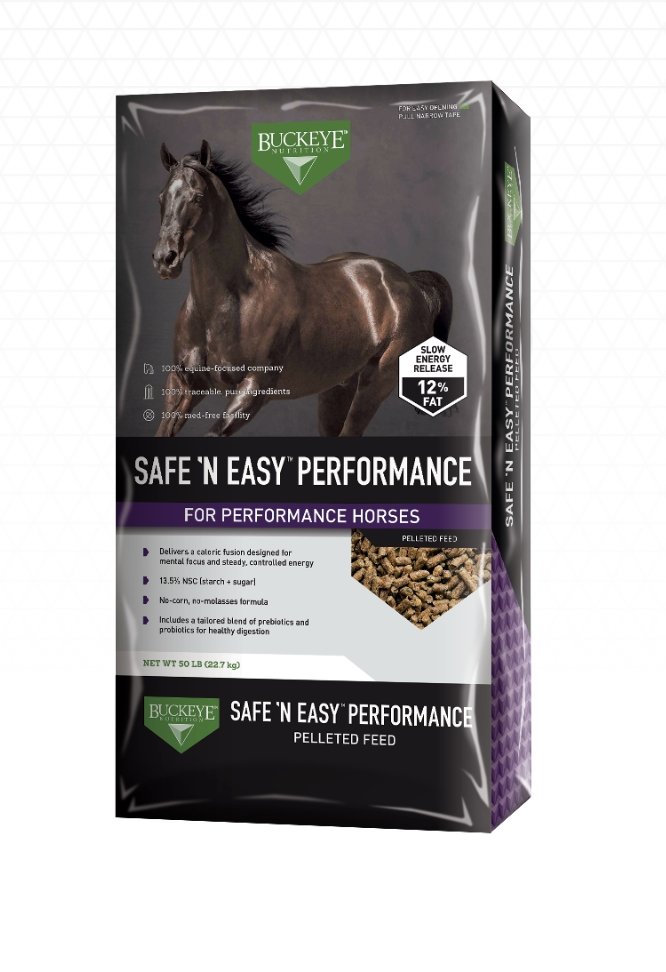 Buckeye Safe N Easy Performance - Rider's Tack.Apparel.Supply