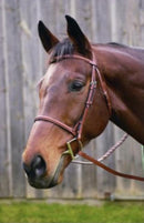 HDR ADV Plain Raised Bridle with laced reins - Rider's Tack.Apparel.Supply