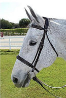 HDR Pro mono fancy padded bridle - Rider's Tack.Apparel.Supply