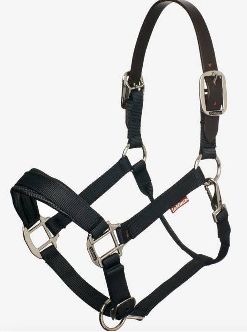 LeMieux Break Away Headcollar - Rider's Tack.Apparel.Supply