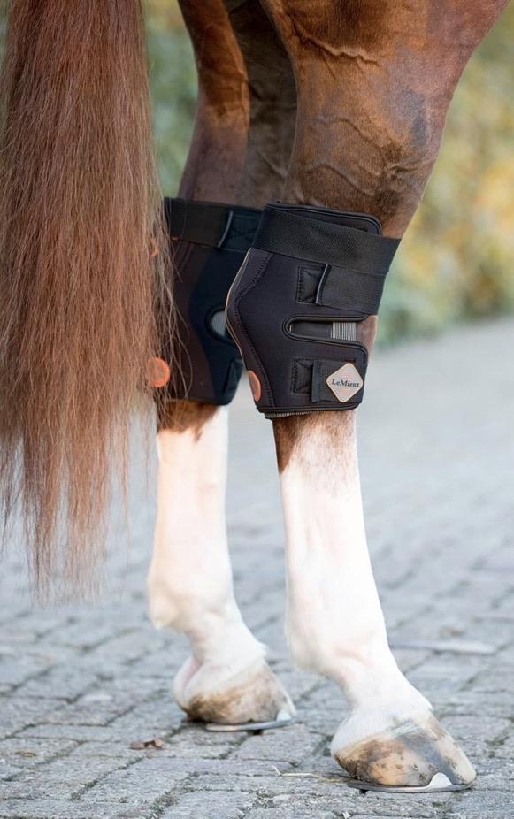 Lemieux conductive magnotherapy hock boot - Rider's Tack.Apparel.Supply