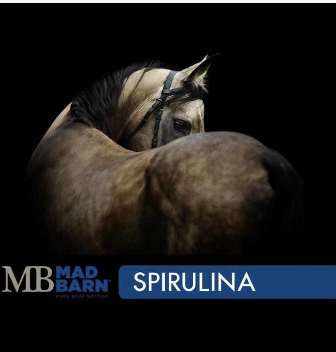 Mad Barn Spirulina - Rider's Tack.Apparel.Supply