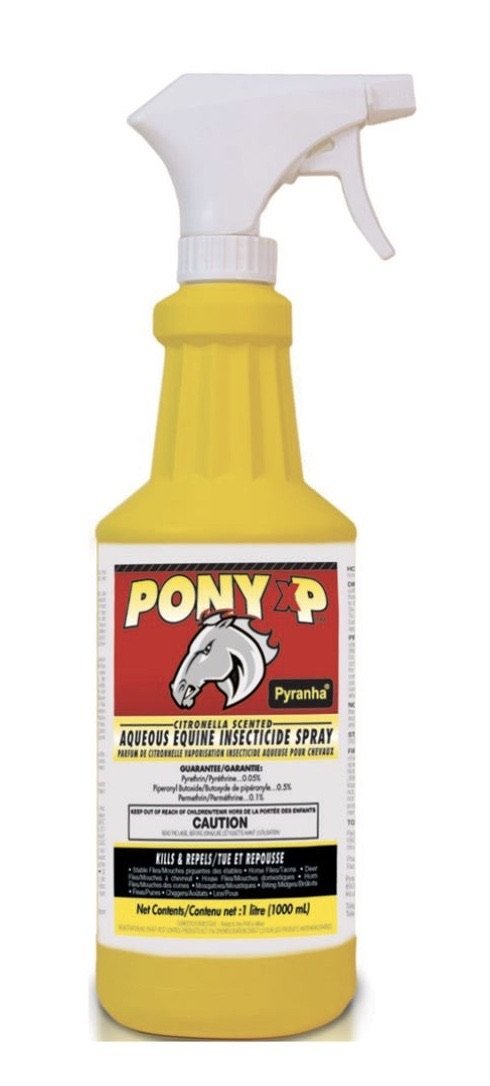 Pony xp - Rider's Tack.Apparel.Supply